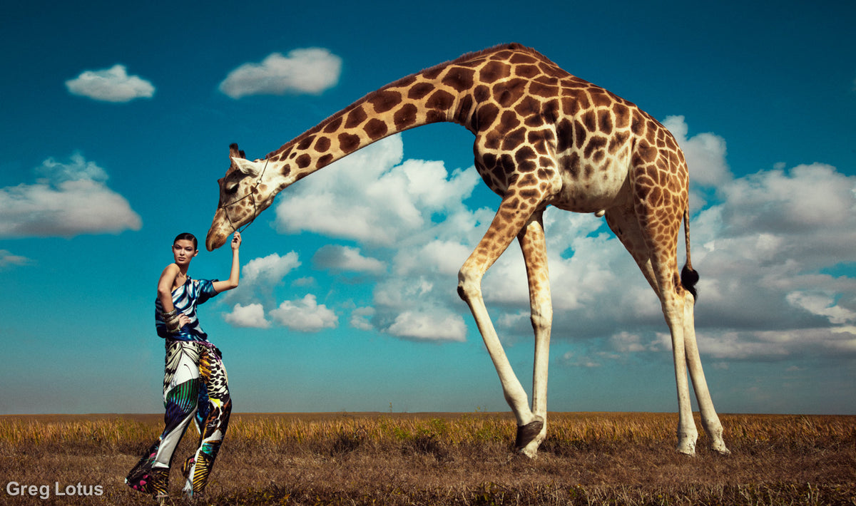 Greg Lotus 